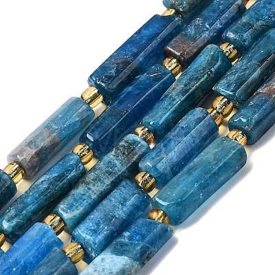Natural Apatite Beads Strands G-D353-A02-1