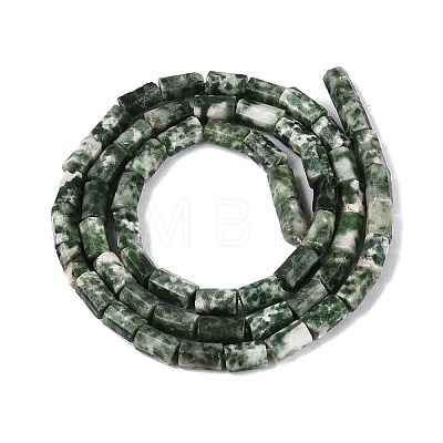 Natural Green Spot Jasper Beads Strands GG-N002-01A-28-1