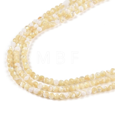 Natural Trochus Shell Beads Strands BSHE-G036-08A-02-1