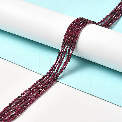 Natural Garnet Beads Strands X-G-I341-09A-1