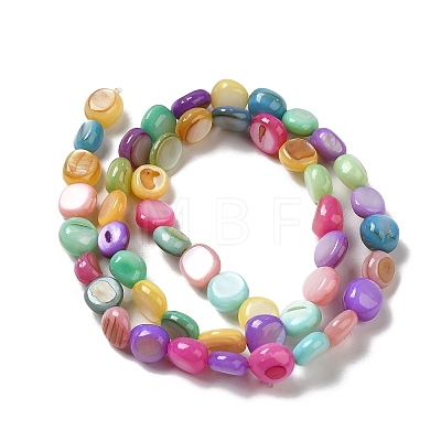 Natural Freshwater Shell Beads Strands SHEL-K006-32-1