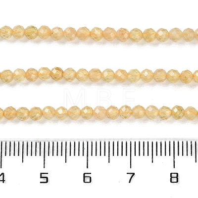 Natural Yellow Apatite Beads Strands G-N342-20B-01-1