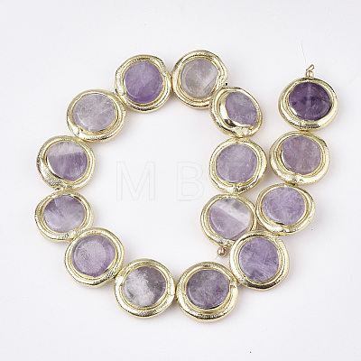 Natural Amethyst Beads G-S260-13-1