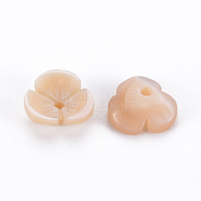 Natural Pink Shell Beads SSHEL-N034-119B-01-1