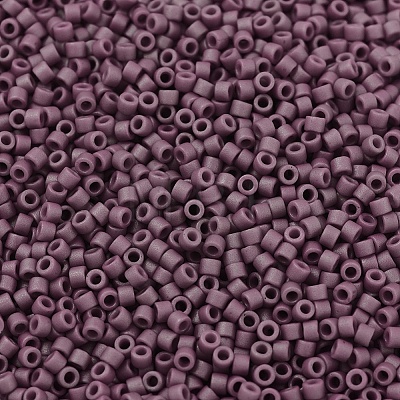 MIYUKI Delica Beads X-SEED-J020-DB2295-1