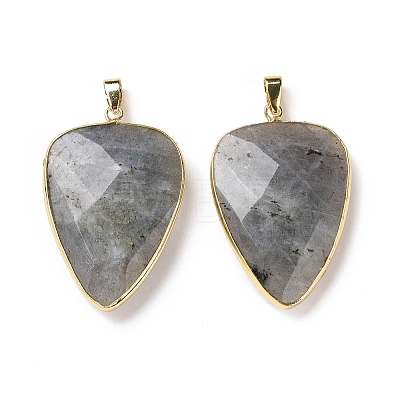 Faceted Natural Labradorite Pendants G-F340-02D-1