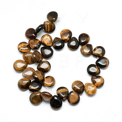 Natural Tiger Eye Gemstone Beads Strands X-G-T005-04-1