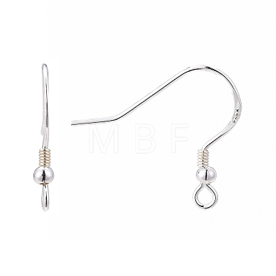 925 Sterling Silver Earring Hooks STER-K167-050S-1