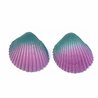 Spray Paint Natural Ark Shell Beads X-SSHEL-S261-03A-1
