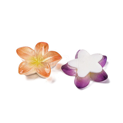 Opaque Resin Cabochons RESI-R455-01P-1