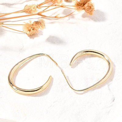 Brass Dangle Earrings KK-T056-110G-NF-1