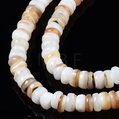 Natural Freshwater Shell Beads Strands X-SHEL-T018-28-1