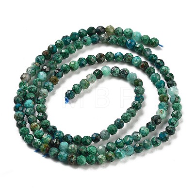 Natural Chrysocolla Beads Strands X-G-P514-A03-02-01-1
