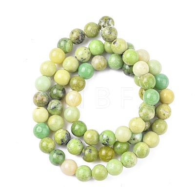 Natural Serpentine Beads Strands G-N166-6-1