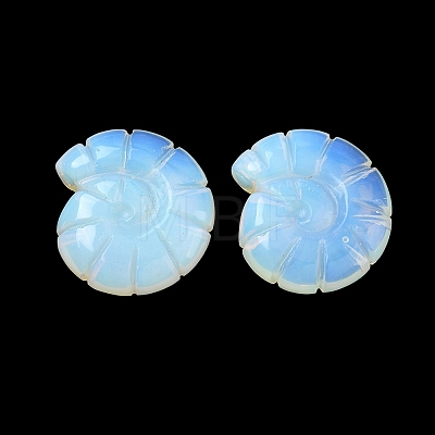 Opalite Conch Display Decorations DJEW-D303-01D-1