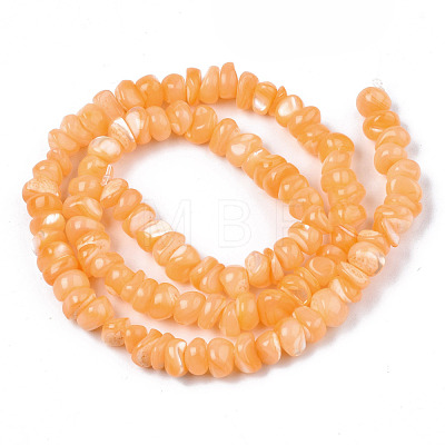 Natural Sea Shell Beads Strands SSHEL-S278-131E-1