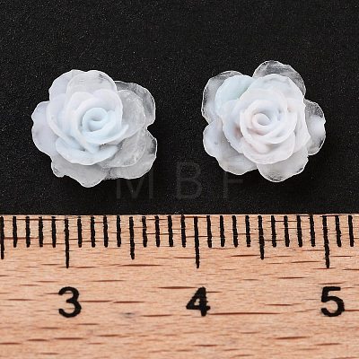 Luminous Resin Decoden Cabochons RESI-K036-49-1