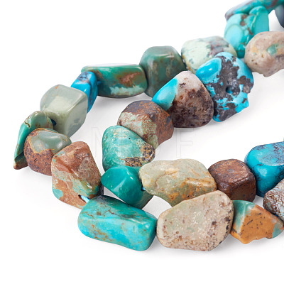 1 Strand Natural HuBei Turquoise Beads Strands G-TA0003-48-1