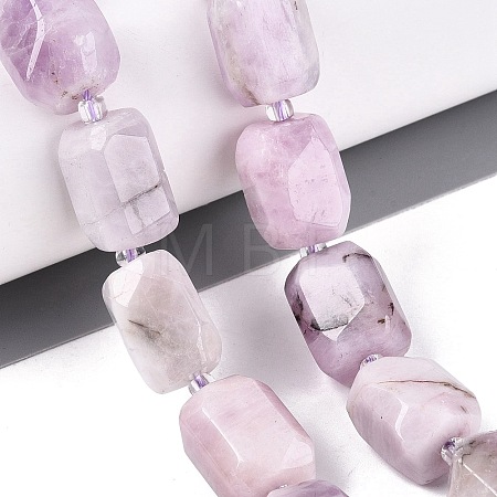 Natural Kunzite Beads Strands G-N362-07A-08-1