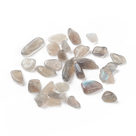 Natural Labradorite Beads G-I304-08-1