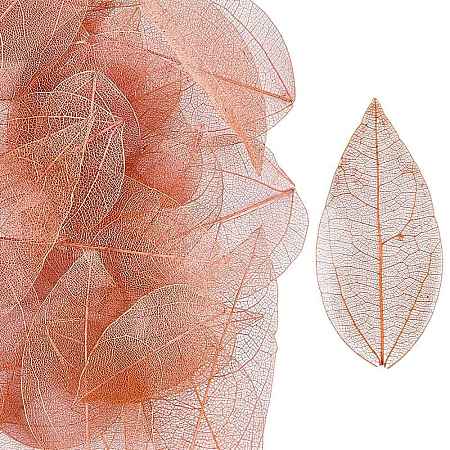 100Pcs Dried Flower Leaf Craft Supplies AJEW-CP0009-41C-1