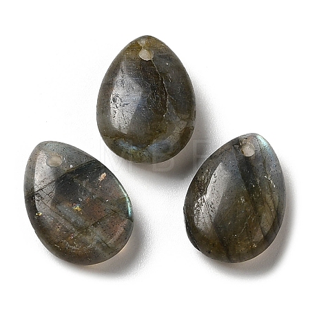 Natural Labradorite Teardrop Charms G-M410-01-01-1
