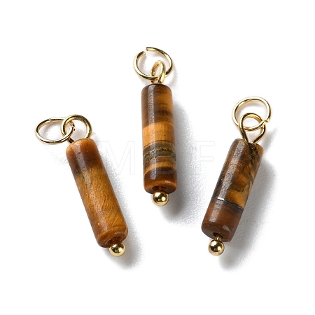 Natural Tiger Eye Pendants STAS-C120-01G-04-1