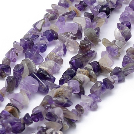 Natural Amethyst Beads Strands X-G-P332-07-1