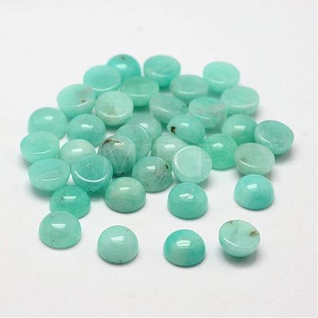 Dome/Half Round Natural Amazonite Cabochons G-O146-02C-1