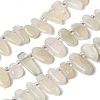Natural Moonstone Beads Strands G-P604-A27-01-2