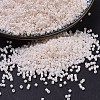 MIYUKI Delica Beads X-SEED-J020-DB1490-1