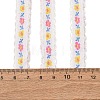 Polyester Lace Ribbon FB-CBA2A5D-01B-3