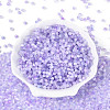 Drawbench Style Glass Seed Beads SEED-Q039-01F-2