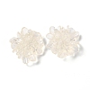 Transparent Resin Cabochons X-RESI-G027-01A-1