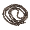 Natural Smoky Quartz Beads Strands G-Z164-B01-2.5mm-4