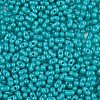 Baking Paint Glass Seed Beads SEED-L011-09A-07-3