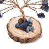 Natural Lapis Lazuli Chips Tree of Life Decorations GG-CBAEDF6-01J-3