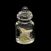 Luminous Plastic Pendants KY-WH0048-14C-3