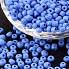 (Repacking Service Available) Glass Seed Beads SEED-C019-4mm-43B-1
