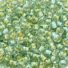 Transparent Glass Round Seed Beads SEED-B001-05A-13-3