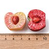 Opaque Resin Imitation Fruit Cabochons CRES-B038-03A-3