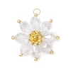 Glass Pendantns PALLOY-MZ01143-03-1