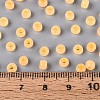 6/0 Transparent Inside Colours Glass Seed Beads SEED-N008-08S-4