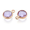 Golden Tone Brass Glass Charms GLAA-ZX008-24I-G-2