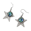 Paua Shell and 304 Stainless Steel Dangle Earrings EJEW-JE07471-03-4