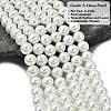 Eco-Friendly Dyed Glass Pearl Round Beads Strands HY-A002-10mm-RB001-2