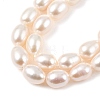 Natural Cultured Freshwater Pearl Beads Strands PEAR-I007-01A-03A-4