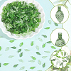 900Pcs 3 Colors Transparent Acrylic Charms TACR-PA0001-27-6