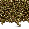 TOHO 6/0 Round Beads SEED-TR06-1209-2