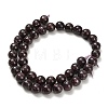 Natural Lepidolite/Purple Mica Stone Beads Strands G-H335-B03-10mm-A-3